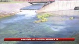 Acqua sempre più cara, in Italia +5,4% rispetto al 2007