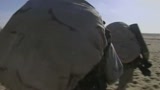 27/10/2009 - Afghanistan, uccisi 8 soldati Usa in vari attacchi