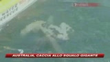 29/10/2009 - Australia, squalo gigante scatena terrore sulle spiagge
