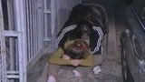 31/10/2009 - orrore_nel_pavese_uccise_due_donne_e_una_bimba