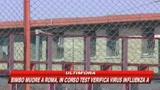 Blefari, doppia inchiesta sulla morte della brigatista