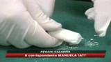 gioia_tauro_maxi_sequestro_di_cocaina_