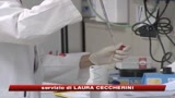 h1n1_sale_a_28_il_numero_delle_vittime_in_italia