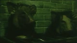 SAW III - L'ENIGMA SENZA FINE - il trailer