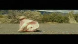 IL PRESCELTO - il trailer