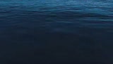 HAPPY FEET - il trailer