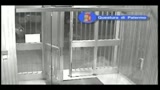 10/11/2009 - Palermo, fermati tre giovani che rapinavano anziani
