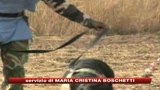 Due milioni di mine antiuomo disinnescate dal '99