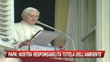 Papa: La tutela dell'ambiente è nostra responsabilità