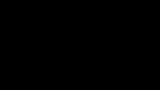 ALIENS VS PREDATOR 2 - il trailer