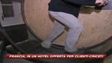 Una vita da criceto