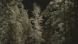 X-FILES: VOGLIO CREDERCI - il trailer