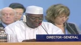 diouf_22miliardi_dal_g8_per_ora_sono_solo_parole