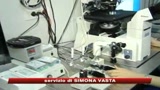 H1N1, mutazioni virus Norvegia. Oms: vaccino funziona