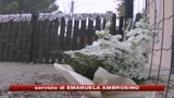 23/11/2009 - padova_la_madre_del_piccolo_assassinato_confessa
