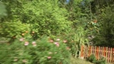 MAGA MARTINA E IL LIBRO MAGICO DEL DRAGHETTO - il trailer
