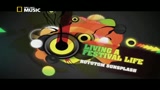 VITA DA FESTIVAL - ROTOTOM SUNSPLASH.