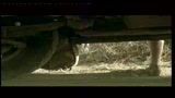 ALEXANDRA - il trailer
