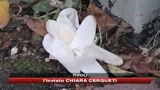 Massacra il rivale in amore, arrestato a Tivoli