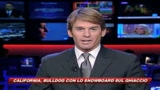 California, bulldog con lo snowboard sul ghiaccio