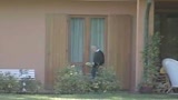 Parma, La Gdf alla ricerca dei Monet di Tanzi