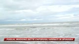 Puglia, solo due capidogli su nove si salvano 



