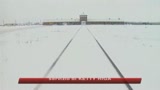 ritrovato_il_simbolo_di_auschwitz_arrestate_5_persone