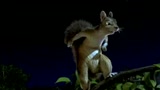 UNO ZOO IN FUGA - il trailer