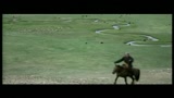 IL CANE GIALLO DELLA MONGOLIA - il trailer
