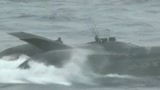 giappone_scontro_marino_tra_cacciatori_balene_e_attivi