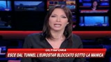 Cile, nati cinque tigrotti bianchi