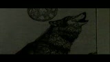 IL RICHIAMO DELLA FORESTA 3D - il trailer