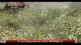 Scontri e tafferugli tra immigrati dopo omicidio egiziano