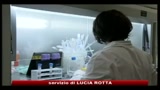 Test antidroga, un parlamentare risulta positivo a cocaina