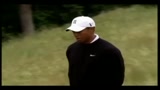 19/02/2010 - Tiger Woods, attesa per le scuse pubbliche del golfista
