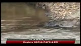 Petrolio nel Lambro, l'onda nera avanza verso il Po
