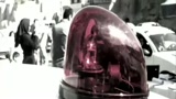 I GATTI PERSIANI - il trailer