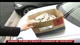 26/02/2010 - Bergamo, sta bene la neonata abbandonata nel parcheggio