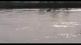 Po, Bertolaso: nessuna ripercussione ecosistema fiume