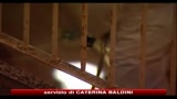Delitto Perugia, sentenza: nessuna premeditazione