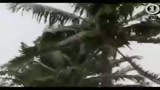 Ciclone Thomas, stato d'emergenza alle Isole Fiji