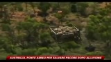 18/03/2010 - Australia, ponte aereo per salvare pecore dopo alluvione