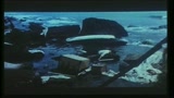 GREYSTOKE - LA LEGGENDA DI TARZAN SIGNORE DELLE SCIMMIE - il trailer