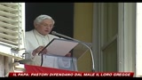 Il papa pastori difendano dal male il loro gregge