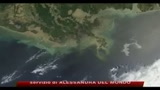 USA, la marea nera ha raggiunto le coste della Lousiana