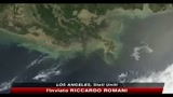 Usa, onda nera: è di 600 miglia la circonferenza della chiazza di petrolio