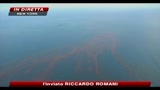 Marea nera, stato d'emergenza in Louisiana