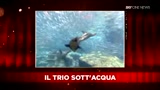 04/05/2010 - SKY Cine News: Intervista Confidenziale ad Aldo Giovanni e Giacomo