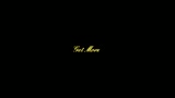 Robbie_Williams_conceto_live