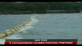 18/05/2010 - La marea nera attacca la vita in superficie e nei fondali